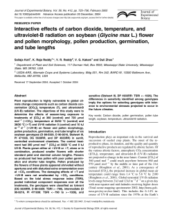 Glycine max L. - Oxford Academic