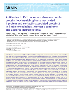 Antibodies to Kv1 potassium channel-complex proteins leucine