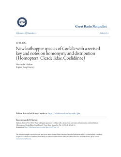 New leafhopper species of Coelidia with a revised key and notes on