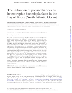 The utilization of polysaccharides by heterotrophic bacterioplankton