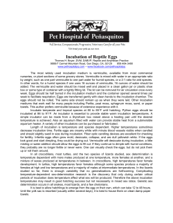 Incubation of Reptile Eggs - Pet Hospital of Penasquitos