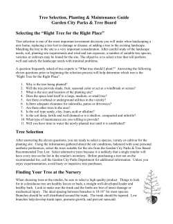 Selecting the "Right Tree for the Right Place"