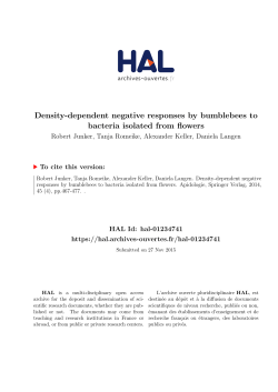 Density-dependent negative responses by bumblebees to