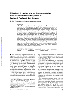 Effects of Hypothermia on Norepinephrine Release and Effector