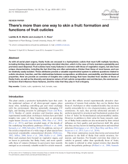 There`s more than one way to skin a fruit