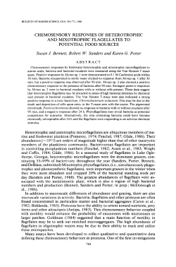 Chemosensory Responses of Heterotrophic and