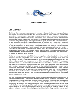 Claims Team Leader Job Overview
