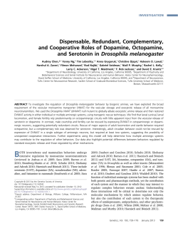 Dispensable, Redundant, Complementary, and
