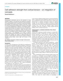 Cell adhesion strength from cortical tension