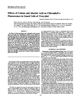 Effects of Cations and Abscisic Acid on Chlorophyll a