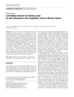 Leaf-folding behavior for drinking water by wild chimpanzees (Pan