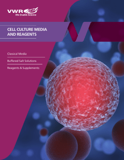 cell culture media and reagents