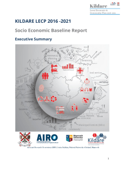 Kildare LECP Executive Summary of Baseline