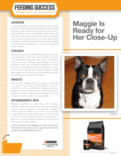 Maggie - Quakertown Veterinary Clinic