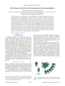Filter-feeding, near-field flows, and the morphologies of