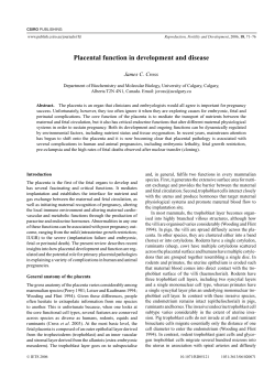 Placental function in development and disease
