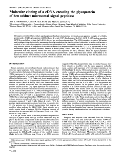 Molecular cloning of a cDNA encoding the glycoprotein of hen