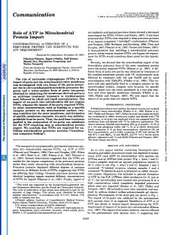 Role of ATP in mitochondrial protein import