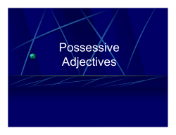 Possessive Adjectives