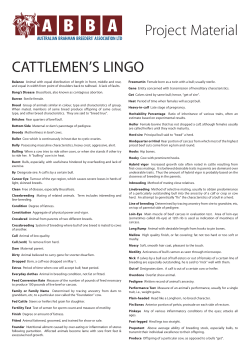 Cattlemans Lingo