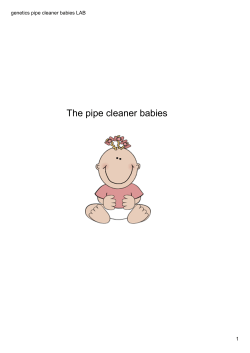 genetics pipe cleaner babies LAB