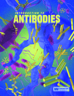 Introduction to Antibodies