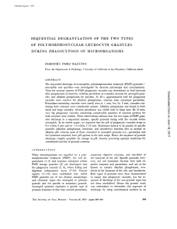 sequential degranulation of the two types of polymorphonuclear