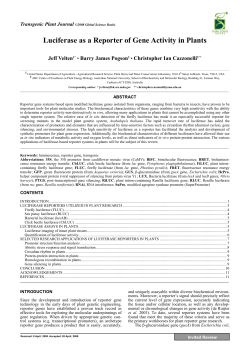 Luciferase as a Reporter of Gene Activity in Plants