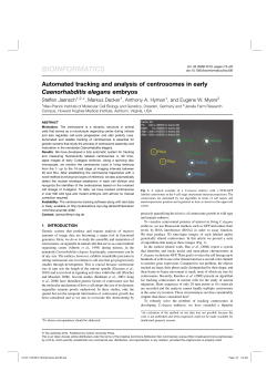 Automated tracking and analysis of centrosomes in early
