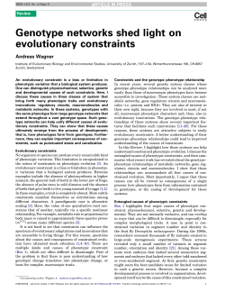 Genotype networks shed light on evolutionary