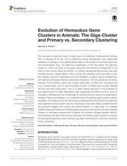 Evolution of Homeobox Gene Clusters in Animals: The Giga