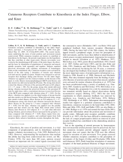 Cutaneous Receptors Contribute to Kinesthesia at the Index Finger