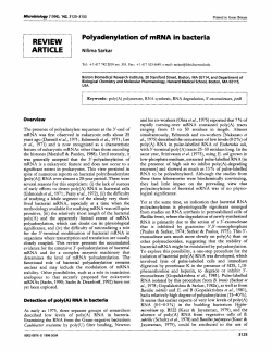 Polyadenylation of mRNA in bacteria