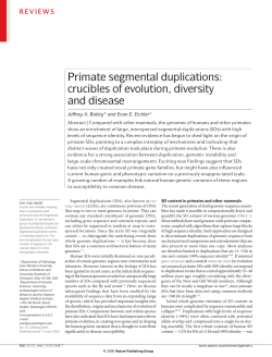 Primate segmental duplications: crucibles of evolution