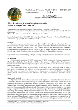Diversity of rust fungus Puccinia on Justicia Article