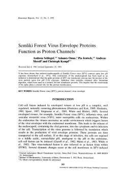 Semliki Forest virus envelope proteins function as proton channels