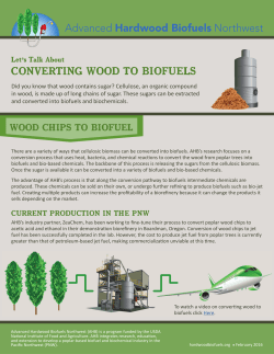 converting wood to biofuels - Advanced Hardwood Biofuels Northwest
