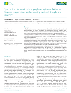 Synchrotron Xray microtomography of xylem embolism in Sequoia