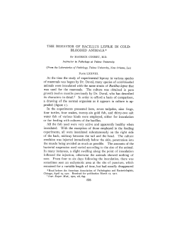 THE BEHAVIOR OF BACILLUS LEPR_,t~ IN COLD