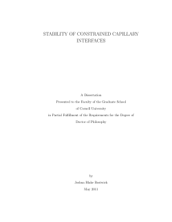 stability of constrained capillary interfaces