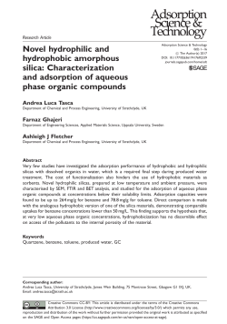 Novel hydrophilic and hydrophobic amorphous silica