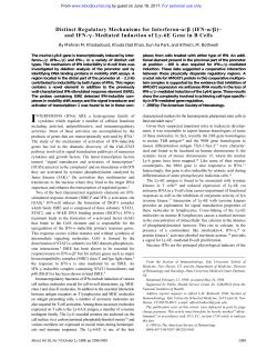 and IFN- &ndash;Mediated Induction of Ly-6E Gene in B Cells