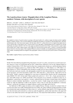 The Leptobrachium (Anura: Megophryidae) of the Langbian Plateau