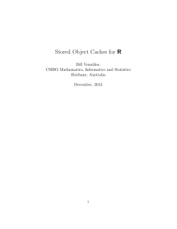 Stored Object Caches for R