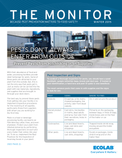 the monitor