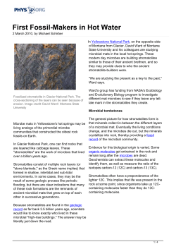 First Fossil-Makers in Hot Water