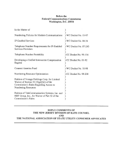 NASUCA Reply Comments Regarding Direct Access to Numbers