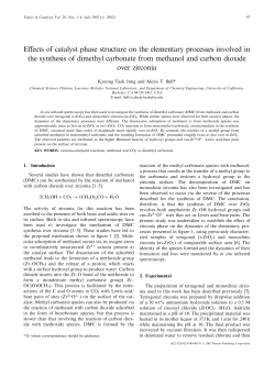 Effects of catalyst phase structure on the elementary processes
