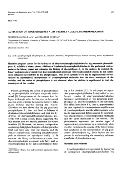 ACTIVATION OF PHOSPHOLIPASE A 2 BY FRESHLY ADDED