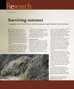 Surviving summer - Emerald Isle Ltd.